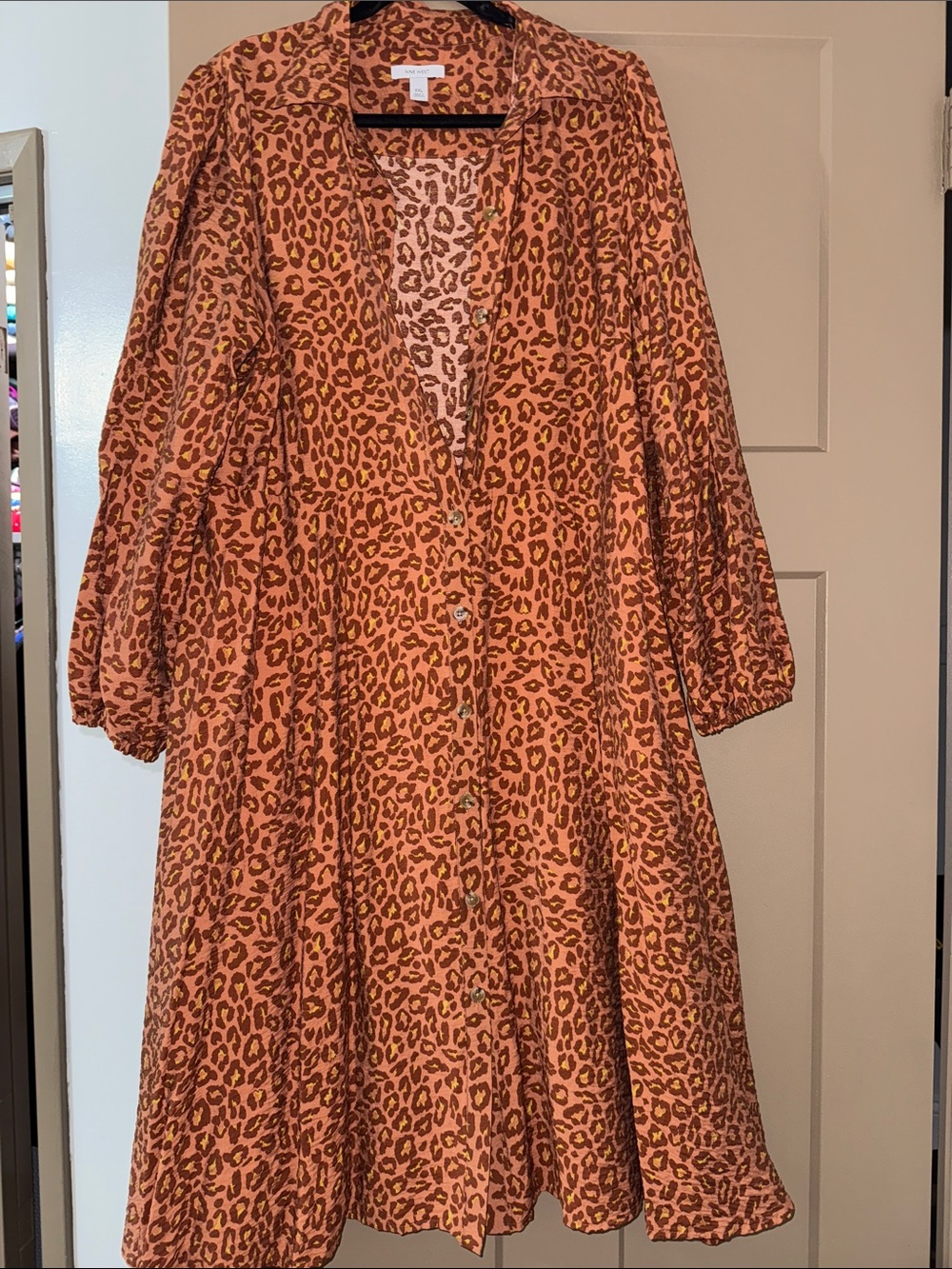Rust Leopard Print Button-Front Dress